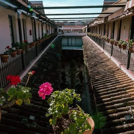 Con Encanto En Patio Sevillano 公寓 塞维利亚